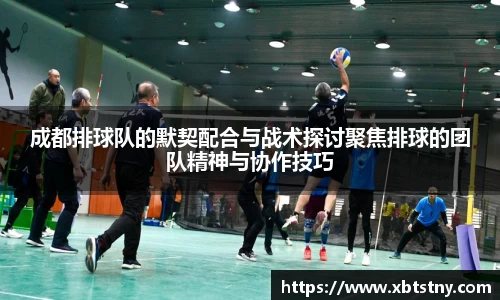 成都排球队的默契配合与战术探讨聚焦排球的团队精神与协作技巧